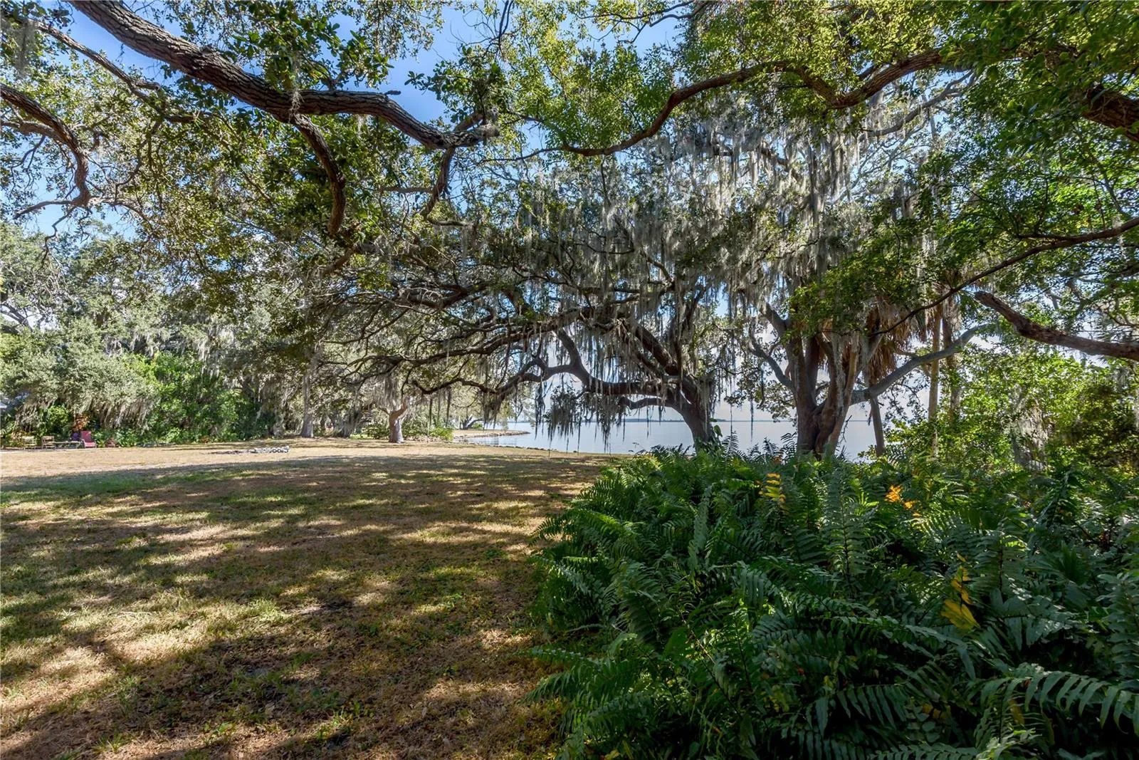 Tampa, Florida 33611, 0 , 0 ,0,Land,For Sale,BAYSHORE,0,T3490205