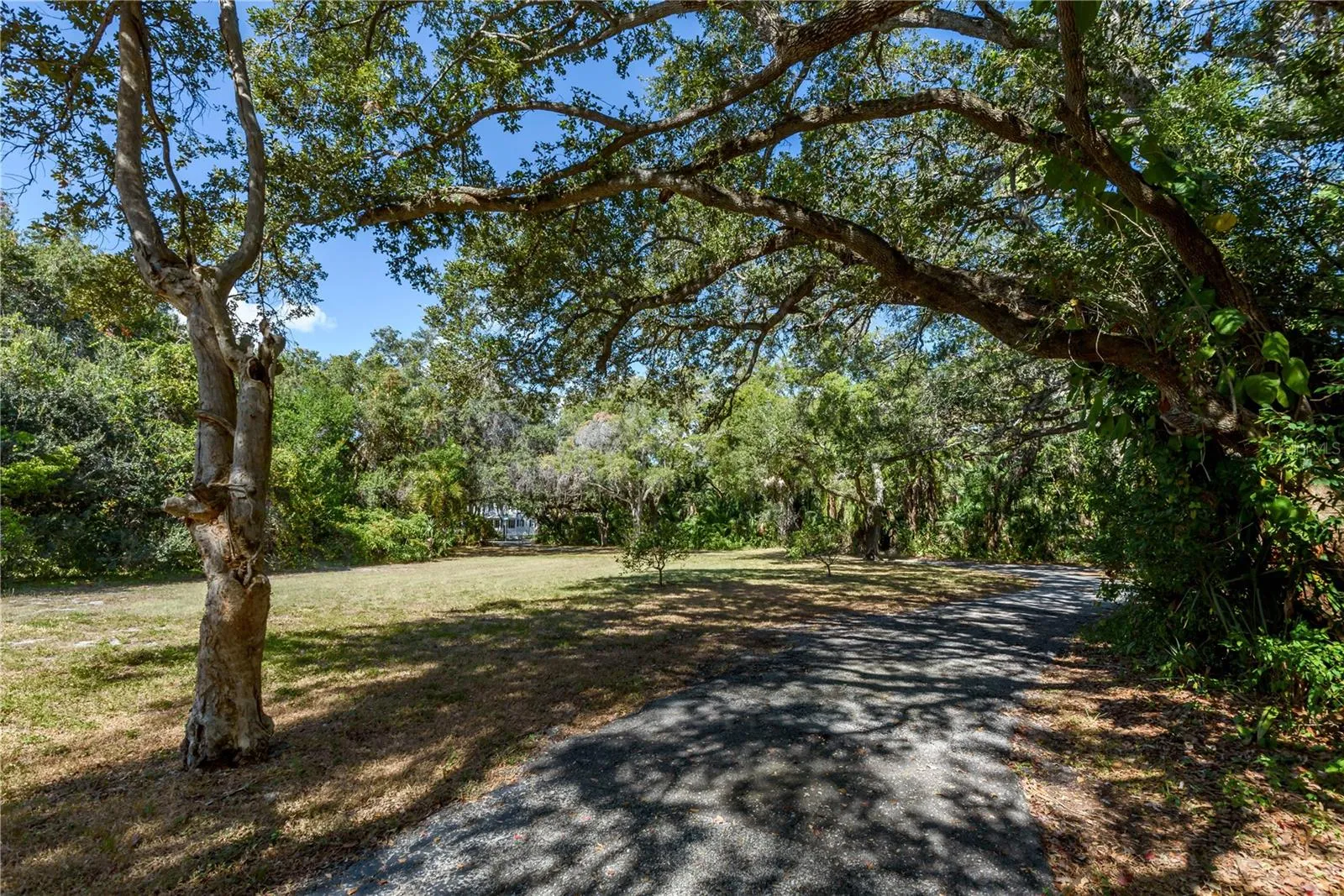 Tampa, Florida 33611, 0 , 0 ,0,Land,For Sale,BAYSHORE,0,T3490205