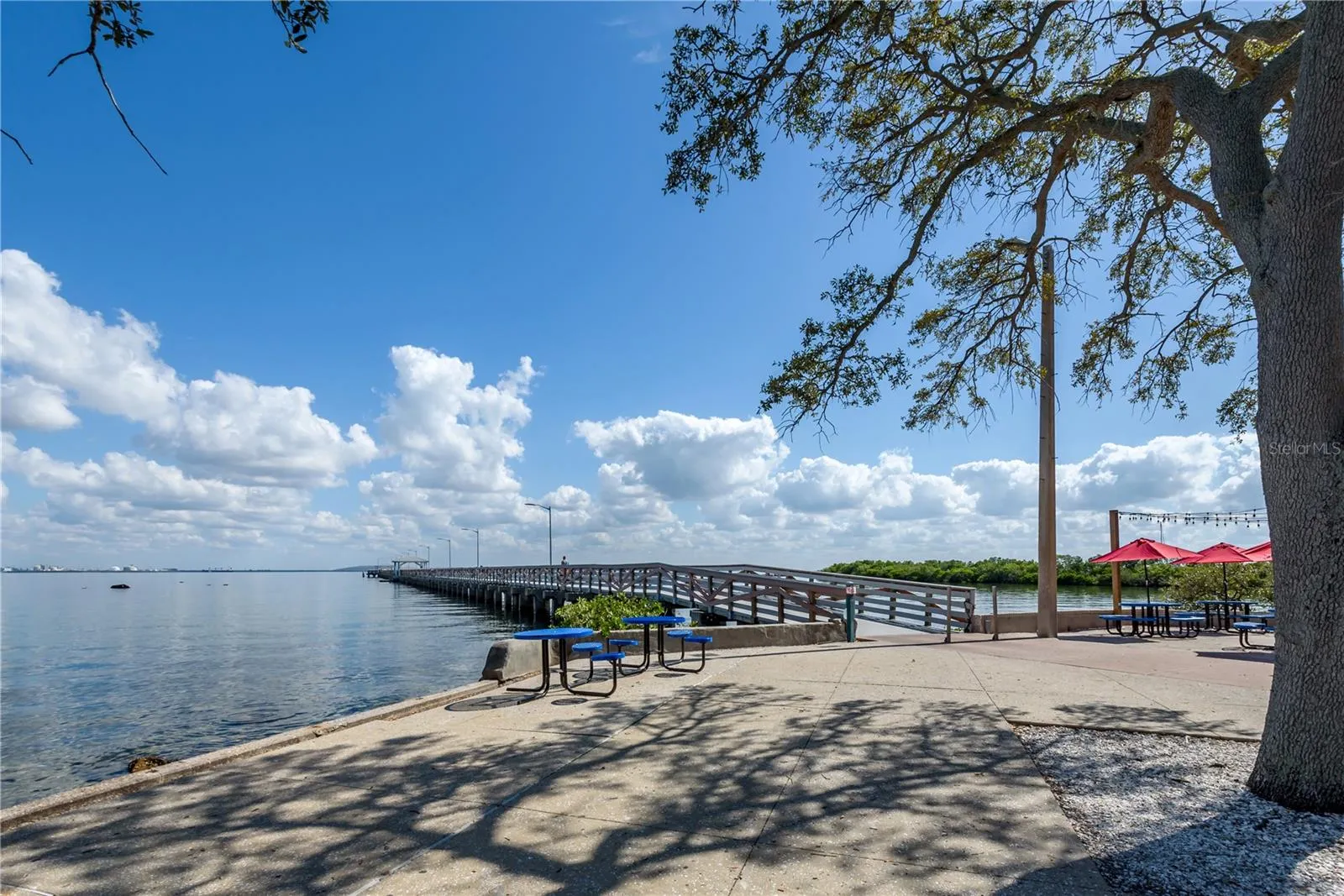 Tampa, Florida 33611, 0 , 0 ,0,Land,For Sale,BAYSHORE,0,T3490205