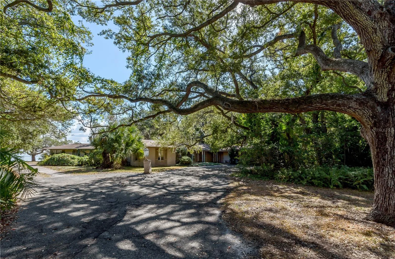 Tampa, Florida 33611, 0 , 0 ,0,Land,For Sale,BAYSHORE,0,T3490205