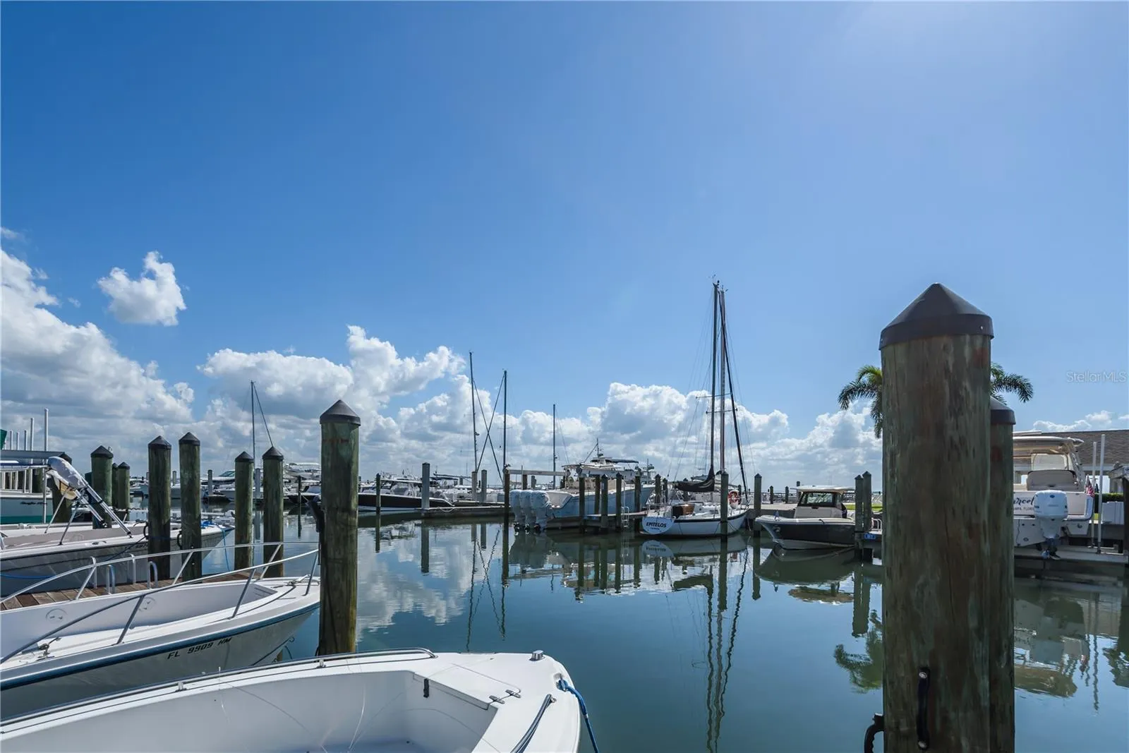 Tampa, Florida 33611, 0 , 0 ,0,Land,For Sale,BAYSHORE,0,T3490205