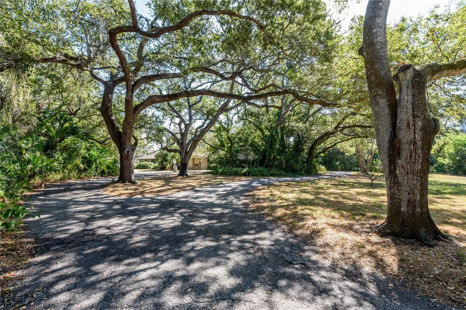 Tampa, Florida 33611, 0 , 0 ,0,Land,For Sale,BAYSHORE,0,T3490205