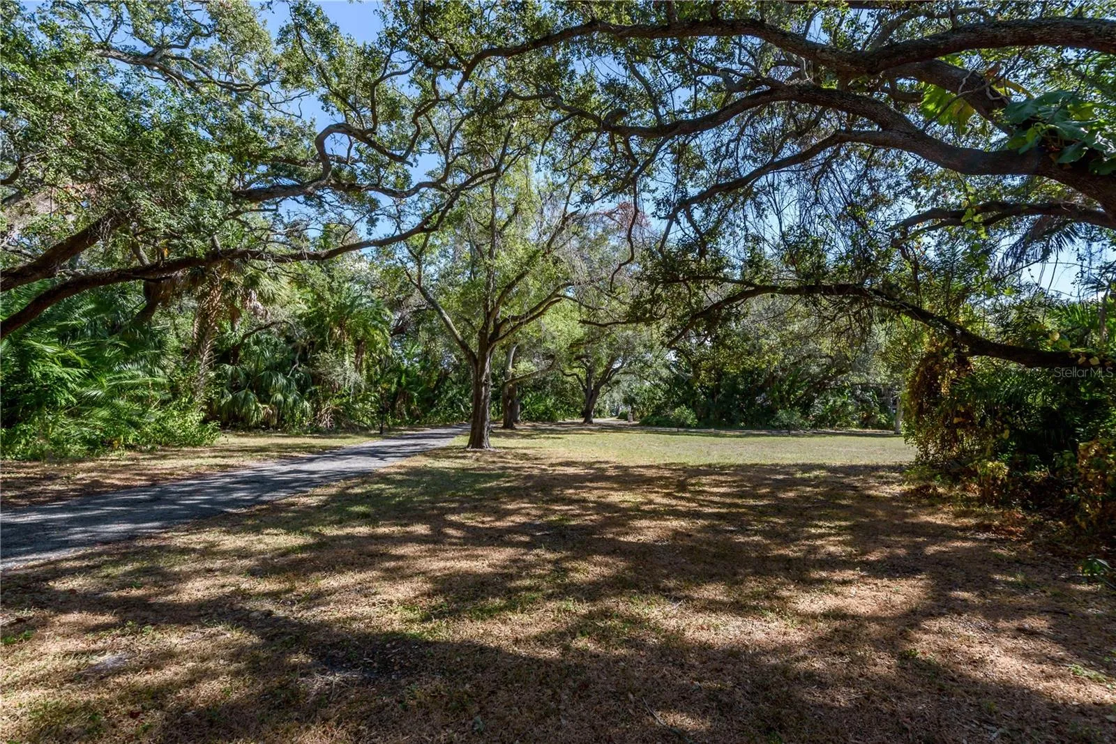 Tampa, Florida 33611, 0 , 0 ,0,Land,For Sale,BAYSHORE,0,T3490205