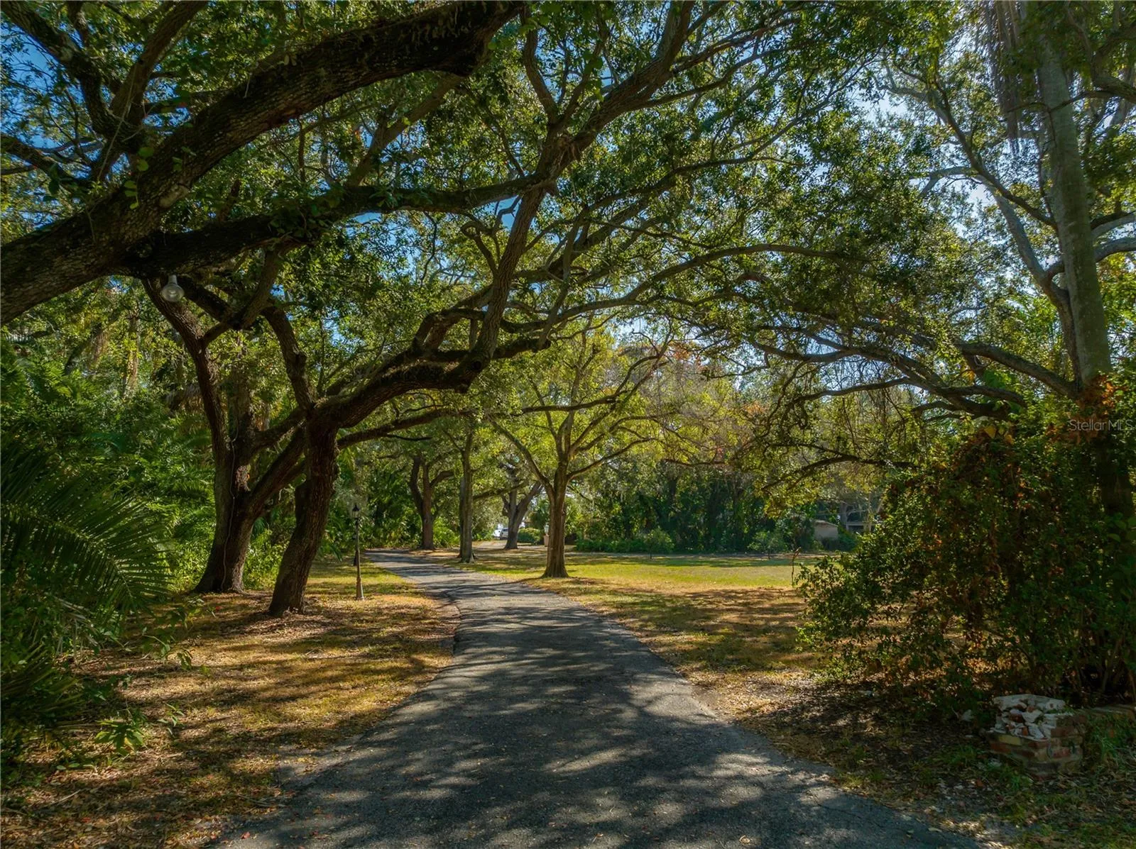 Tampa, Florida 33611, 0 , 0 ,0,Land,For Sale,BAYSHORE,0,T3490205