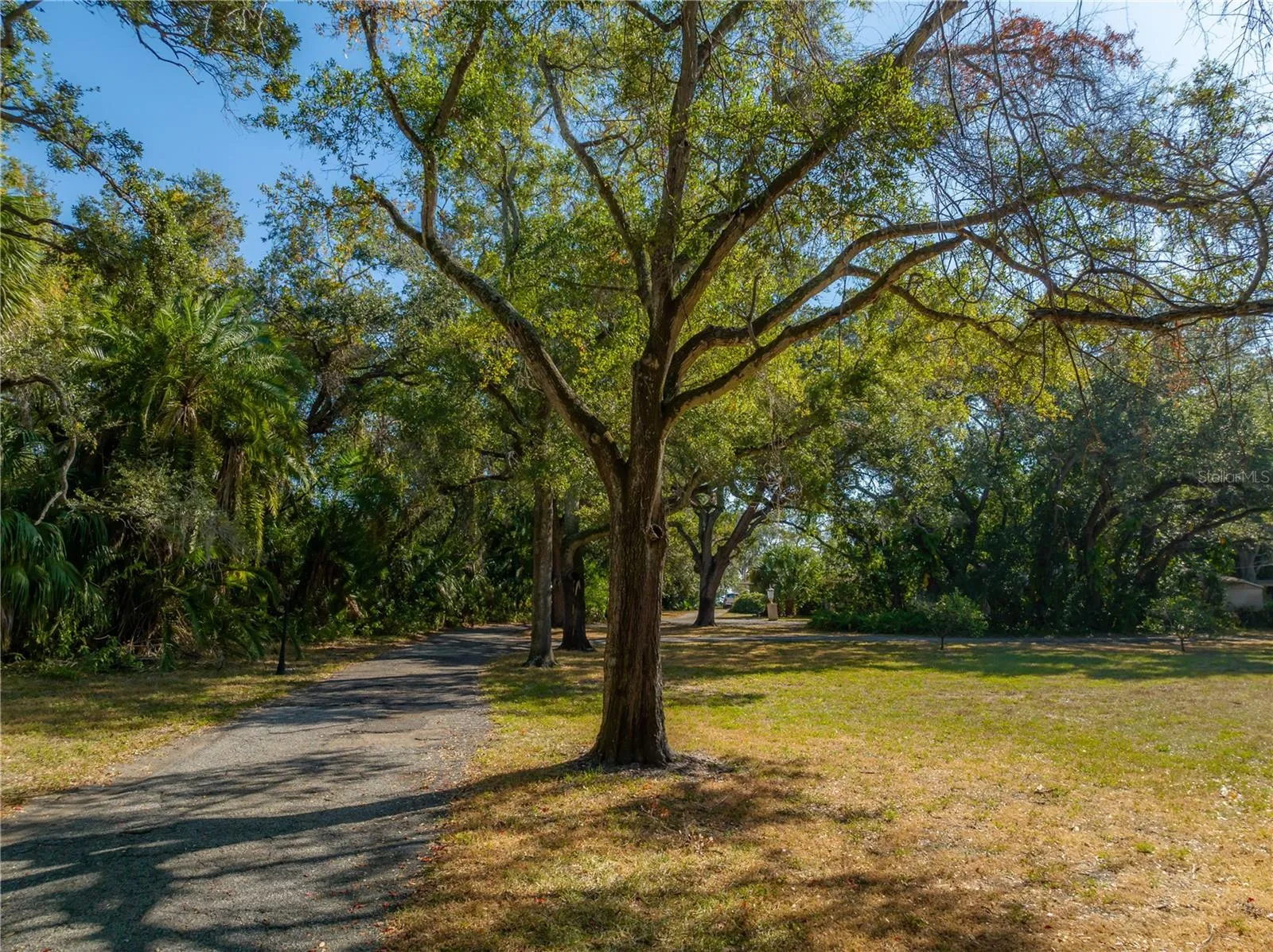 Tampa, Florida 33611, 0 , 0 ,0,Land,For Sale,BAYSHORE,0,T3490205