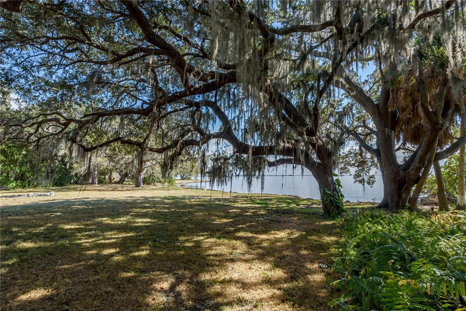 Tampa, Florida 33611, 0 , 0 ,0,Land,For Sale,BAYSHORE,0,T3490205
