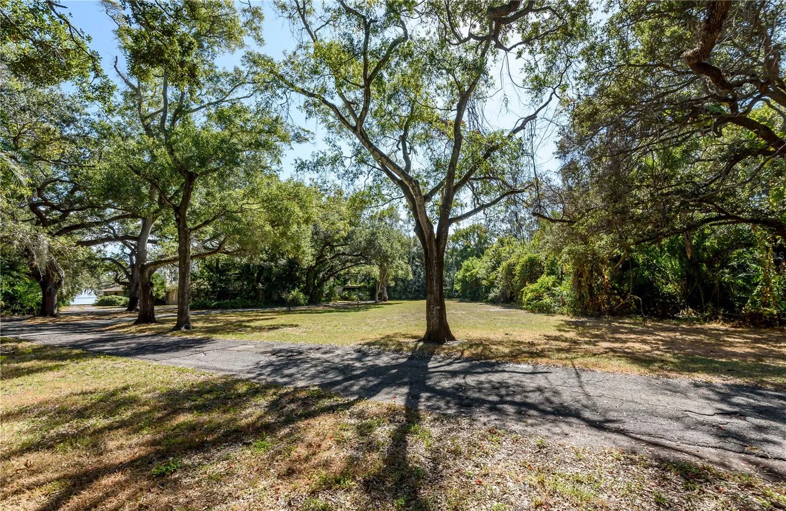 Tampa, Florida 33611, 0 , 0 ,0,Land,For Sale,BAYSHORE,0,T3490205