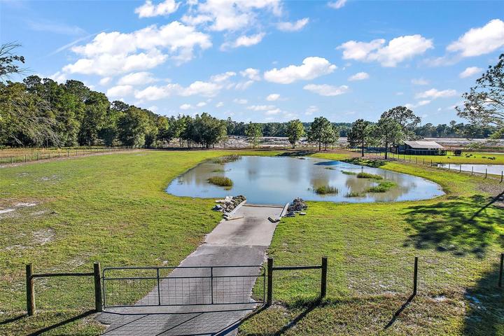 Pond located on the property.
