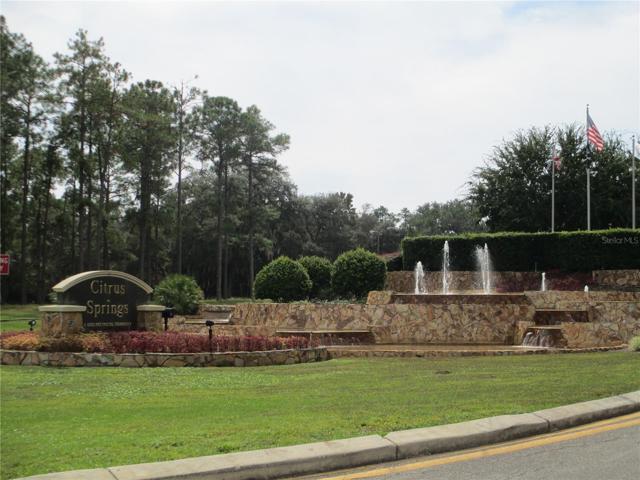 The Community of Citrus Springs