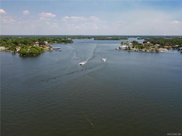 Open Kings Bay of The Crystal River With Direct Access To Gulf of Mexico