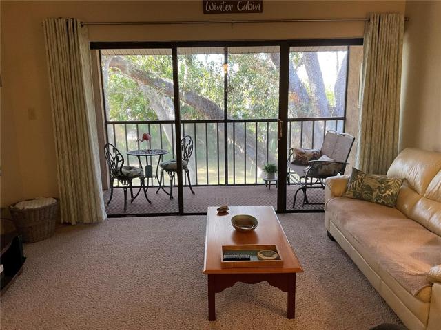 Enter Living Room with Treetop Views