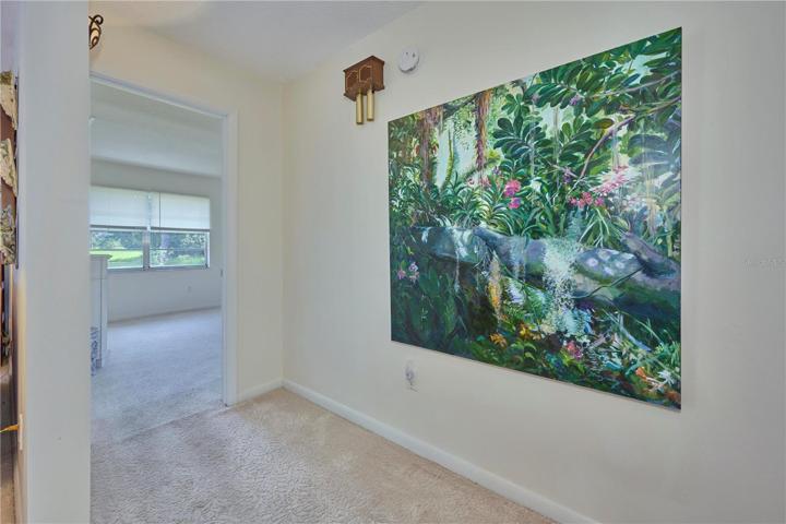 Entrance into master bedroom.