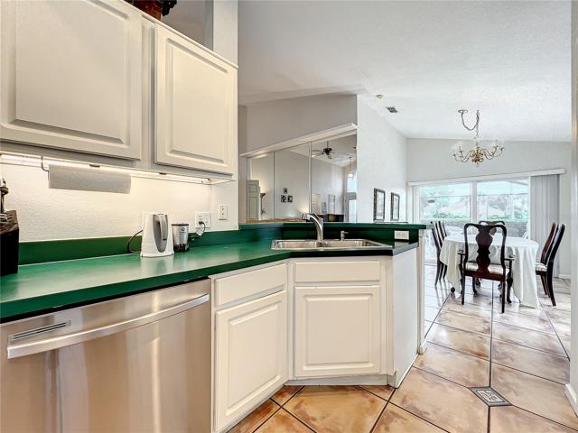New Dishwasher and under cabinet lightening.