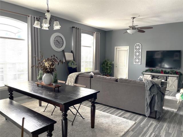 Dining / Living area