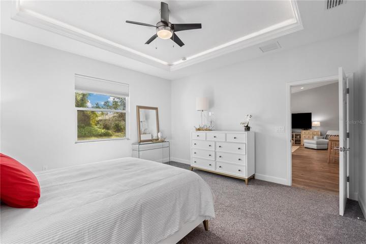 Lighted tray ceiling
