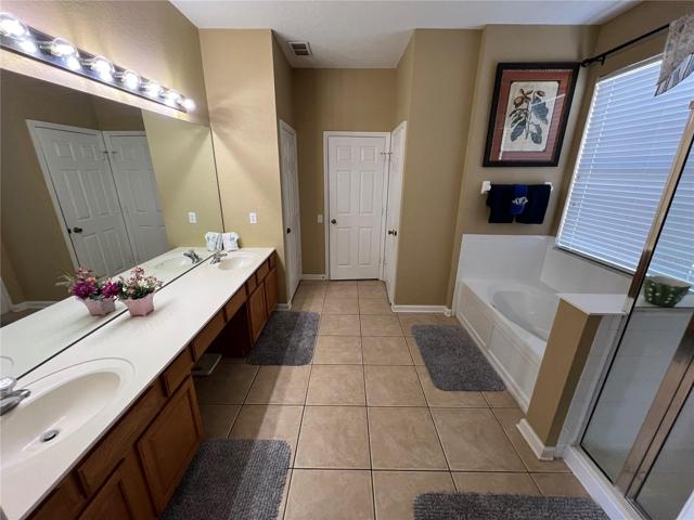 Downstairs Master Bathroonm