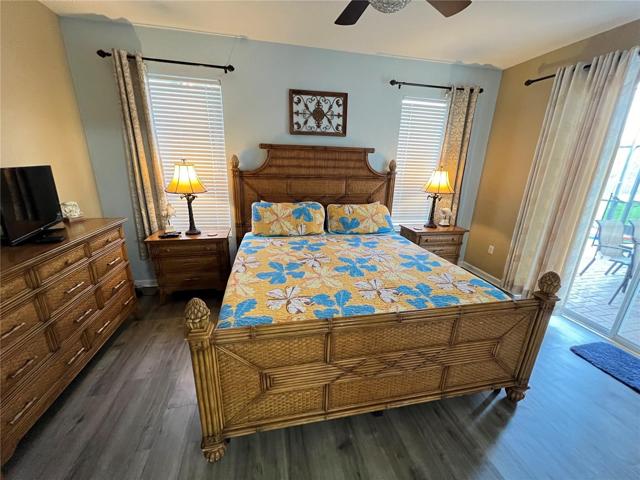 First Downstairs Master Bedroom
