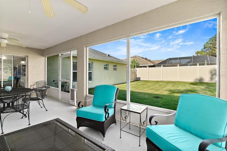 pet doors to porch, back yard will convey
