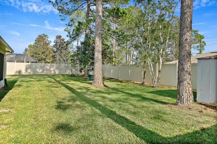 fence is owned by neighbors, except sides