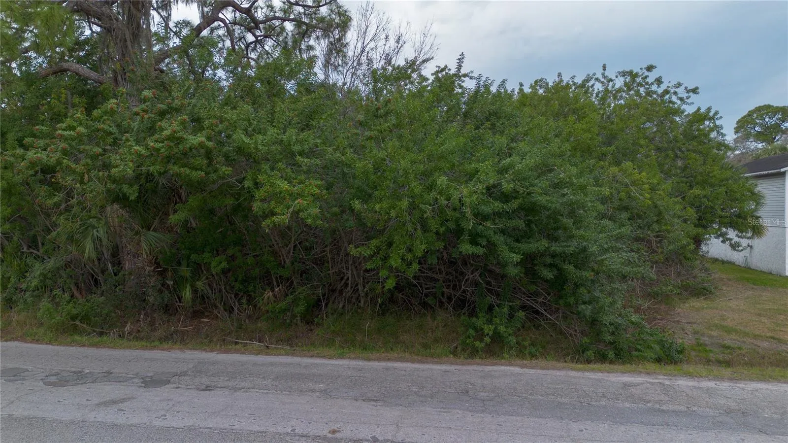 New Port Richey, Florida 34652, 0 , 0 ,0,Land,For Sale,OELSNER,0,T3490825