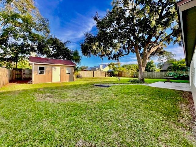 Large back yard with a large shed.