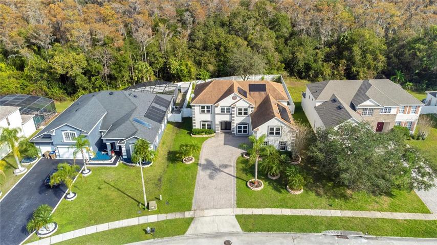 3213 Eagle Watch Dr in Kissimmee, FL, from an eagles' view