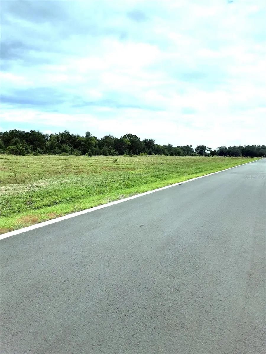 Apopka, Florida 32712, 0 , 0 ,0,Land,For Sale,PANORAMIC VIEW,0,G5076290