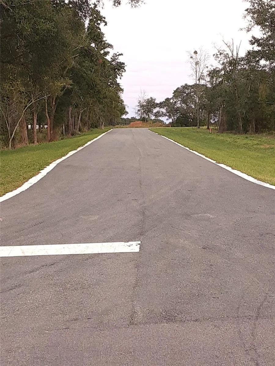 Apopka, Florida 32712, 0 , 0 ,0,Land,For Sale,PANORAMIC VIEW,0,G5076296