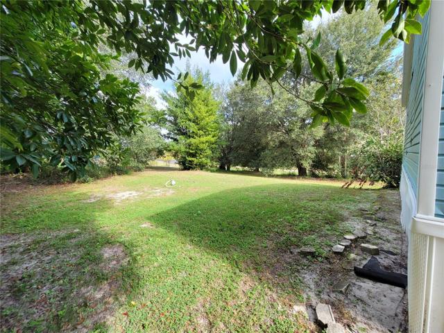 Front Yard