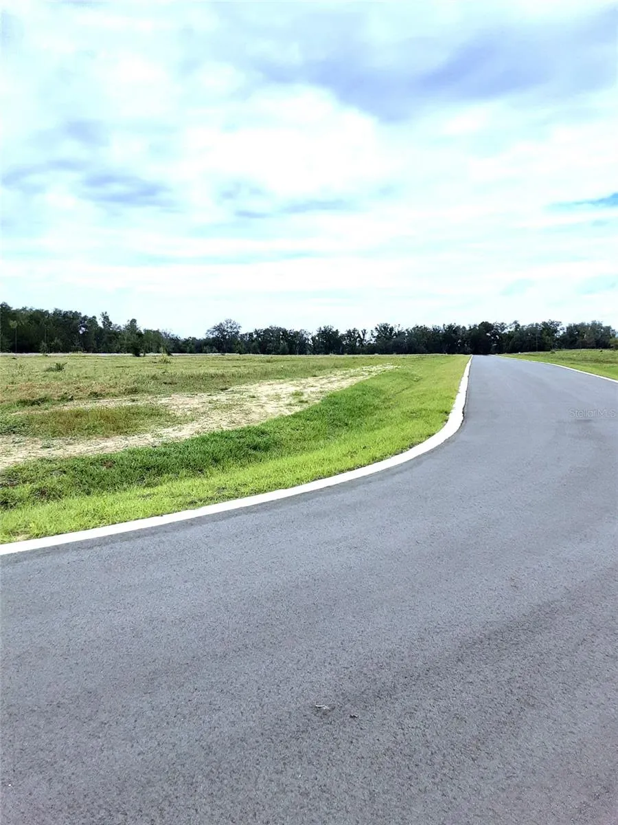 Apopka, Florida 32712, 0 , 0 ,0,Land,For Sale,PANORAMIC VIEW,0,G5076318