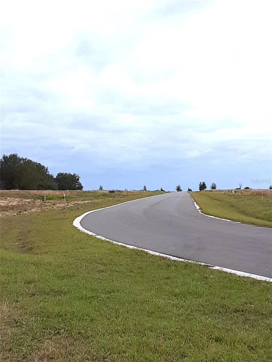 Apopka, Florida 32712, 0 , 0 ,0,Land,For Sale,PANORAMIC VIEW,0,G5076321