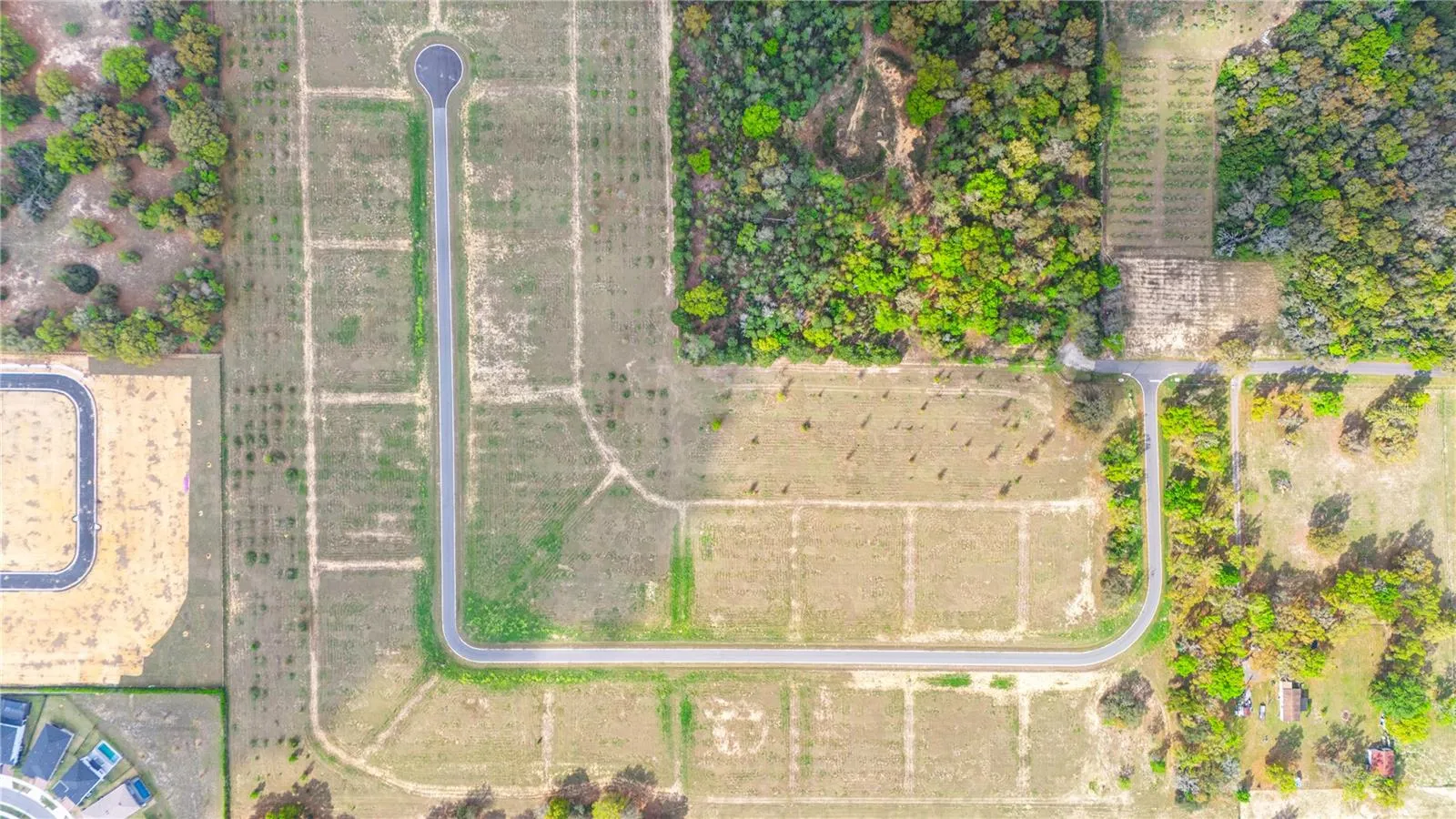 Apopka, Florida 32712, 0 , 0 ,0,Land,For Sale,PANORAMIC VIEW,0,G5076322