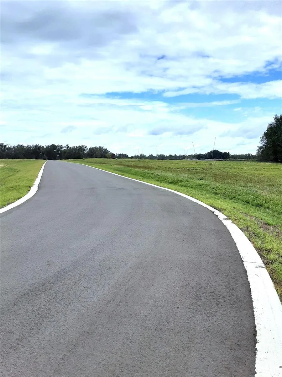 Apopka, Florida 32712, 0 , 0 ,0,Land,For Sale,PANORAMIC VIEW,0,G5076322