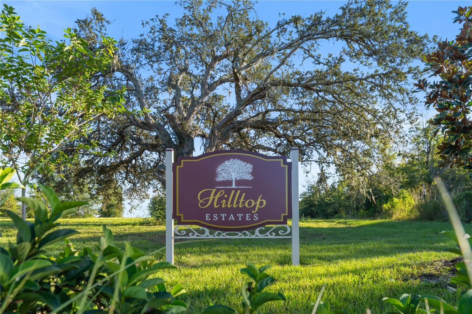 Apopka, Florida 32712, 0 , 0 ,0,Land,For Sale,PANORAMIC VIEW,0,G5076322