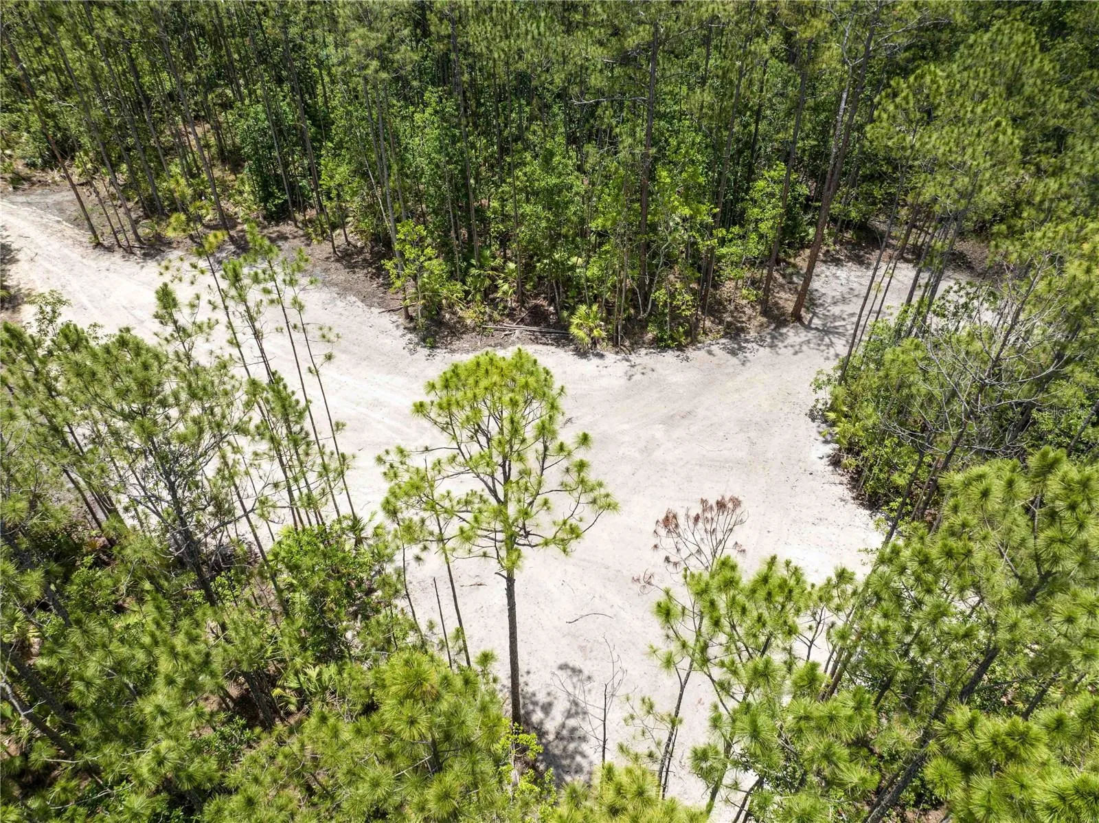 New Smyrna Beach, Florida 32168, 0 , 0 ,0,Land,For Sale,CEDAR,0,NS1080080