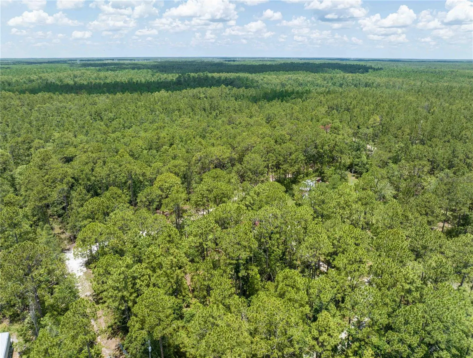 New Smyrna Beach, Florida 32168, 0 , 0 ,0,Land,For Sale,CEDAR,0,NS1080080