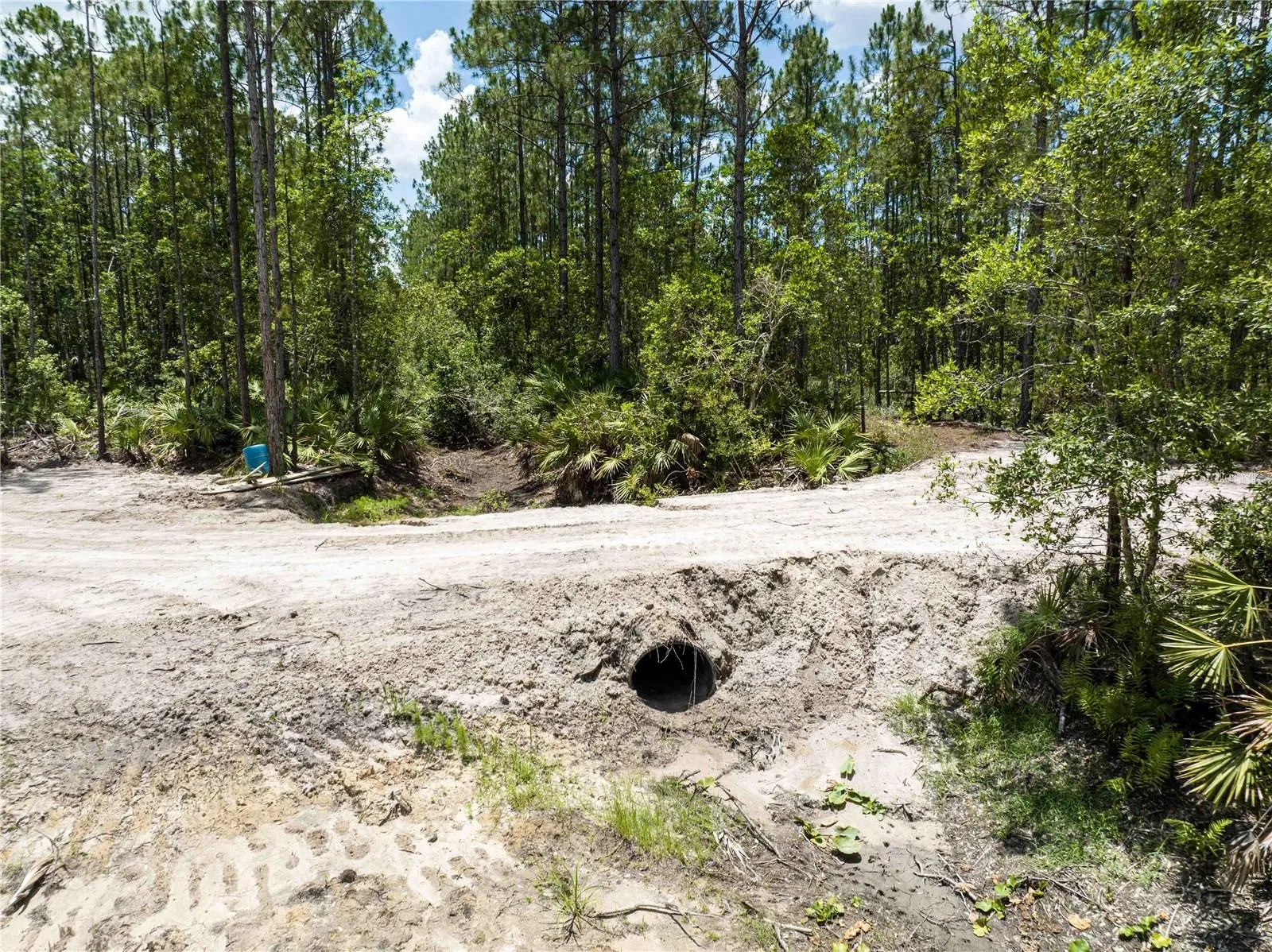 New Smyrna Beach, Florida 32168, 0 , 0 ,0,Land,For Sale,CEDAR,0,NS1080080