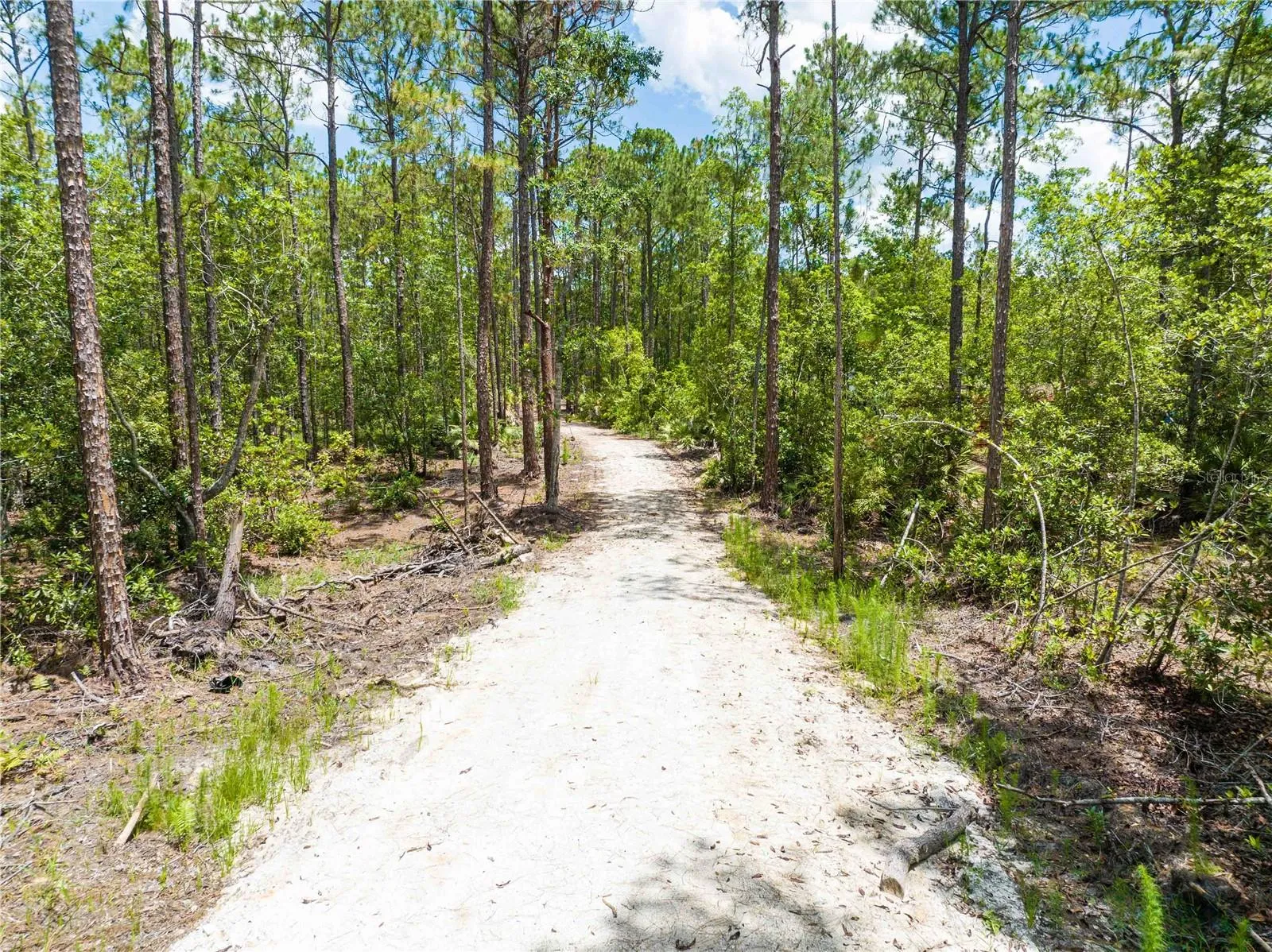New Smyrna Beach, Florida 32168, 0 , 0 ,0,Land,For Sale,CEDAR,0,NS1080080
