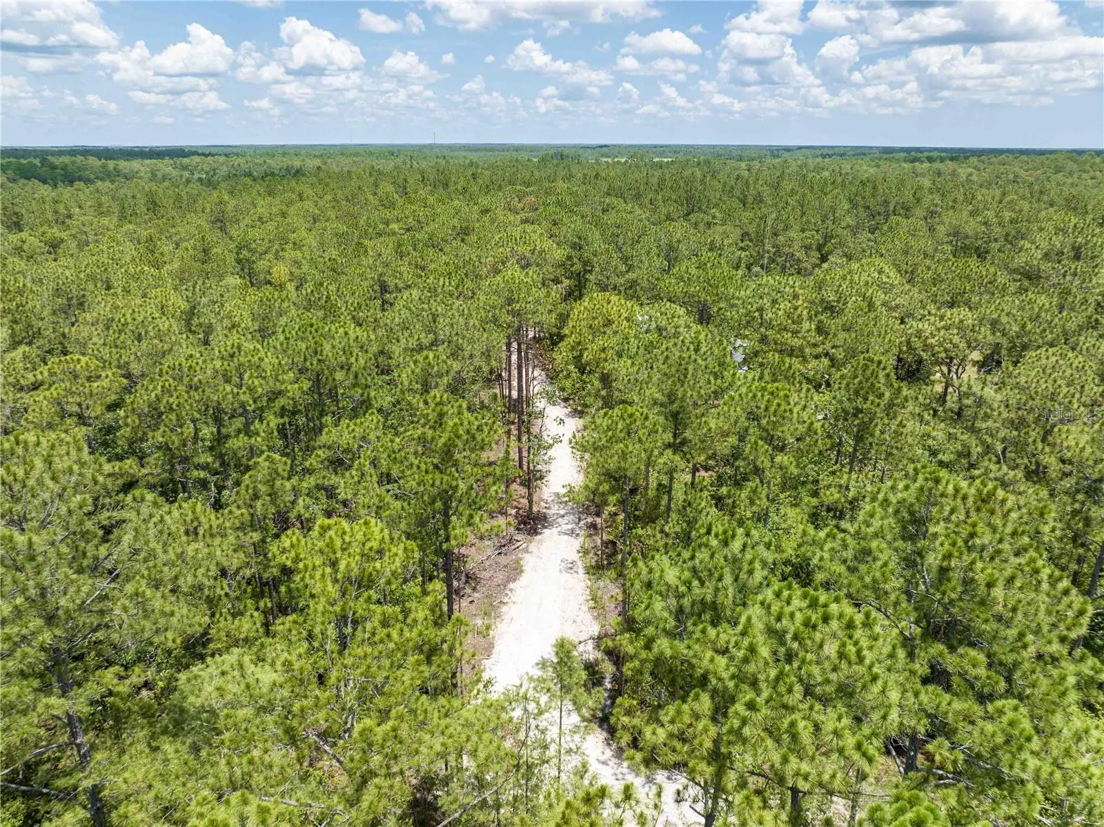 New Smyrna Beach, Florida 32168, 0 , 0 ,0,Land,For Sale,CEDAR,0,NS1080080