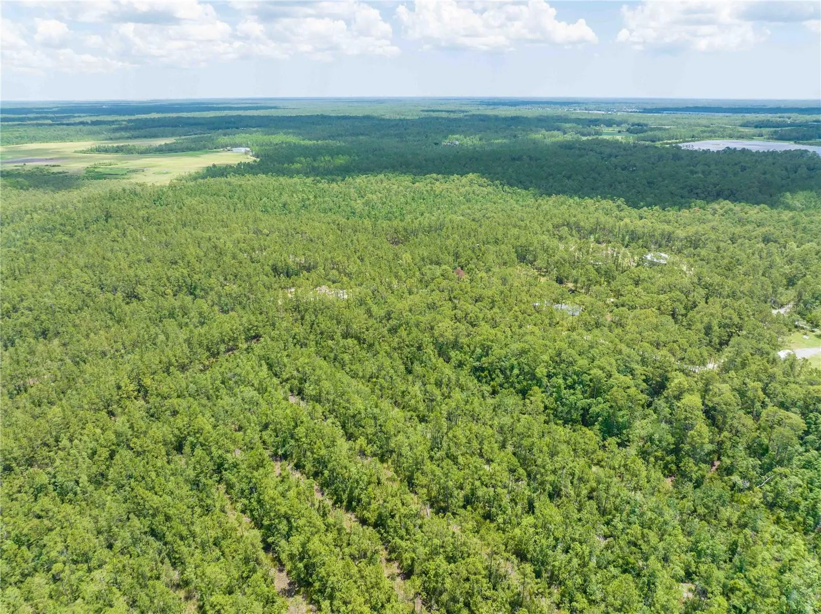 New Smyrna Beach, Florida 32168, 0 , 0 ,0,Land,For Sale,CEDAR,0,NS1080080