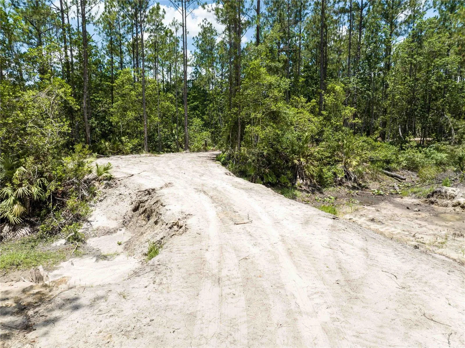 New Smyrna Beach, Florida 32168, 0 , 0 ,0,Land,For Sale,CEDAR,0,NS1080080