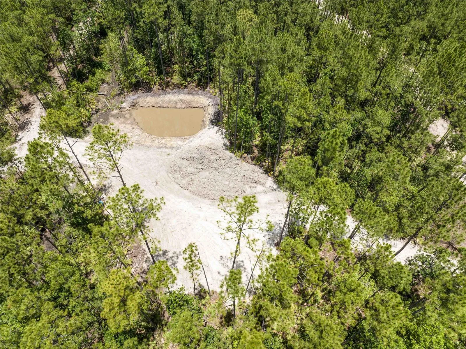 New Smyrna Beach, Florida 32168, 0 , 0 ,0,Land,For Sale,CEDAR,0,NS1080080