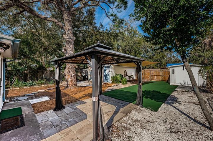 Backyard