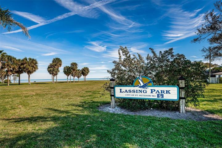 Lassing Park down the street