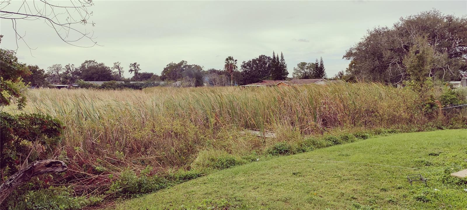 Back yard conservation view - no rear neighbors!
