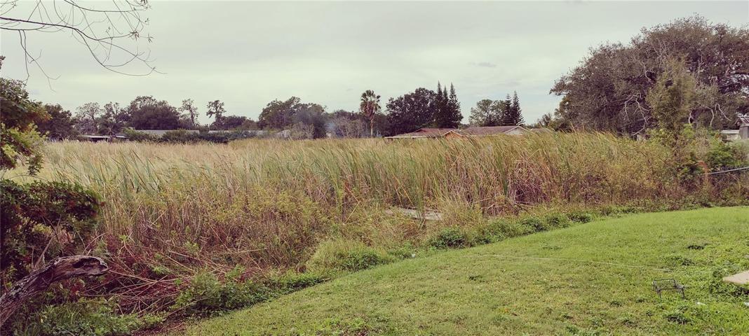 Back yard conservation view - no rear neighbors!