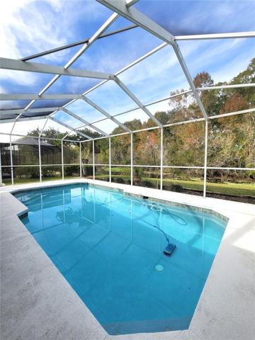 beautiful pool