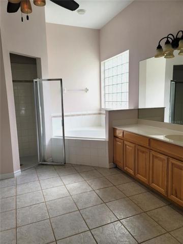 Master bath and shower area