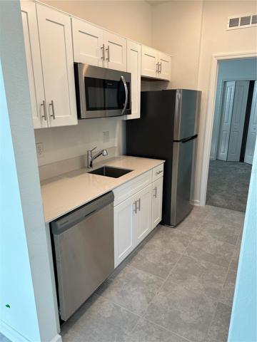 In-Law Suite Kitchen