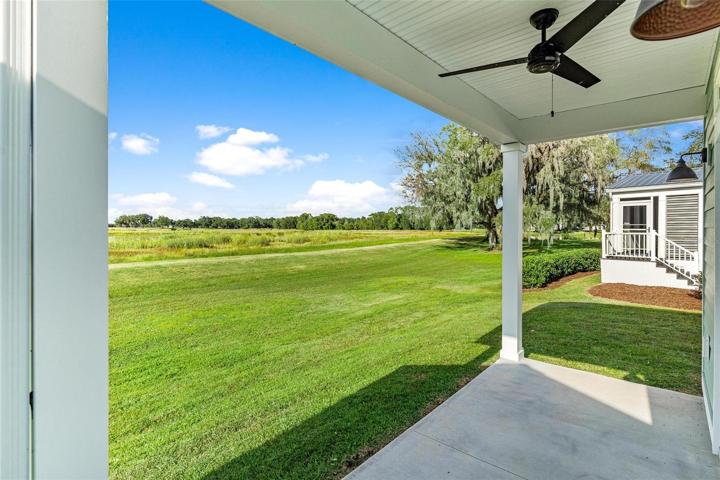 View of Backyard